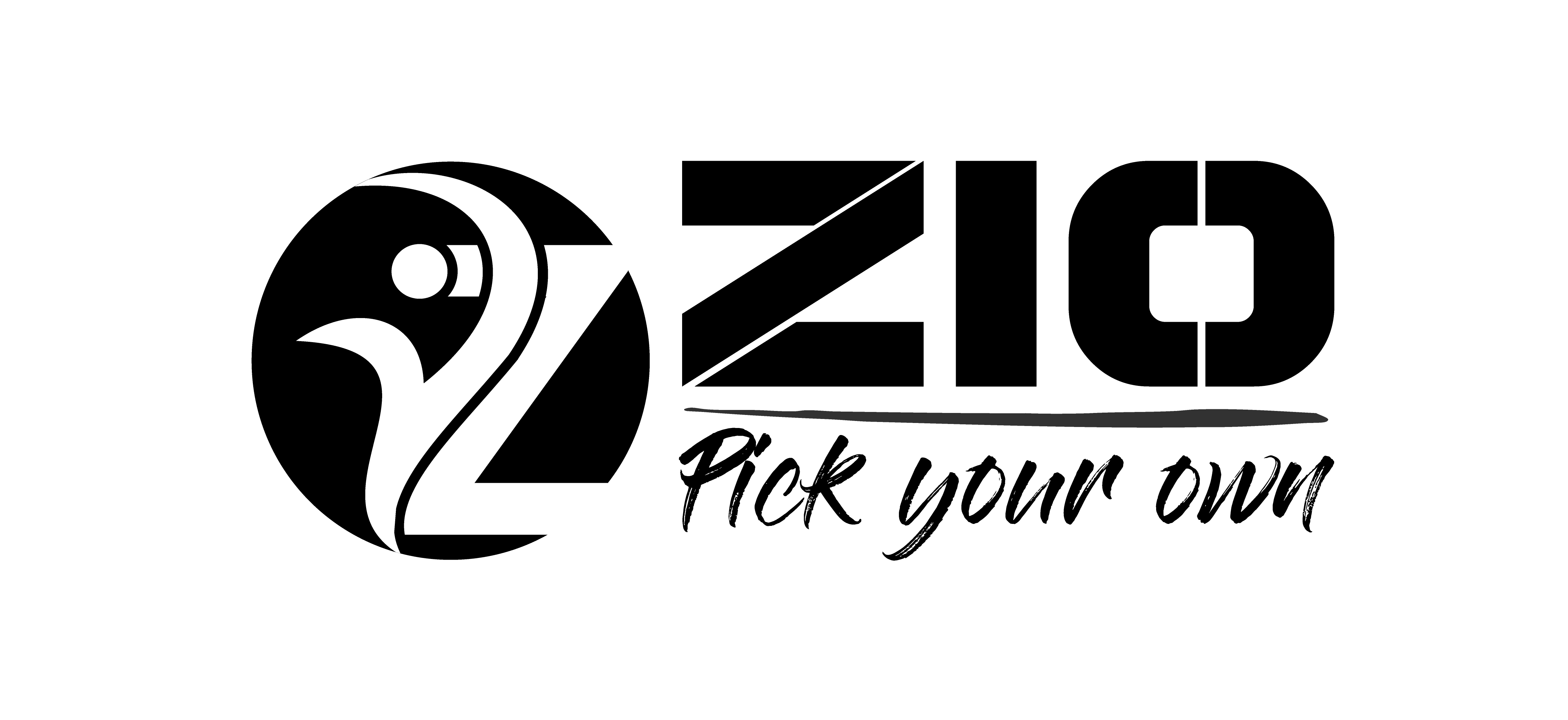 ZIO FlipFlop