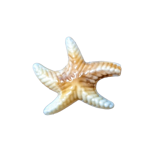 Shell star