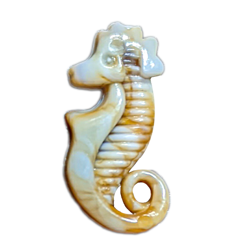 Seahorse shell