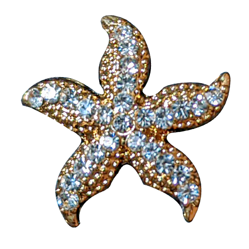 Golden Studded Star