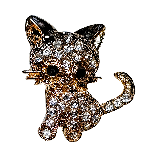 studded cat